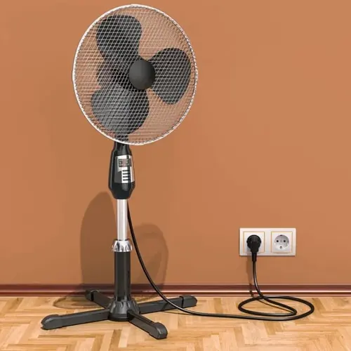Fan